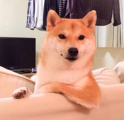 适合女孩子用的可爱搞怪头像真人动物动漫图片精选_7
