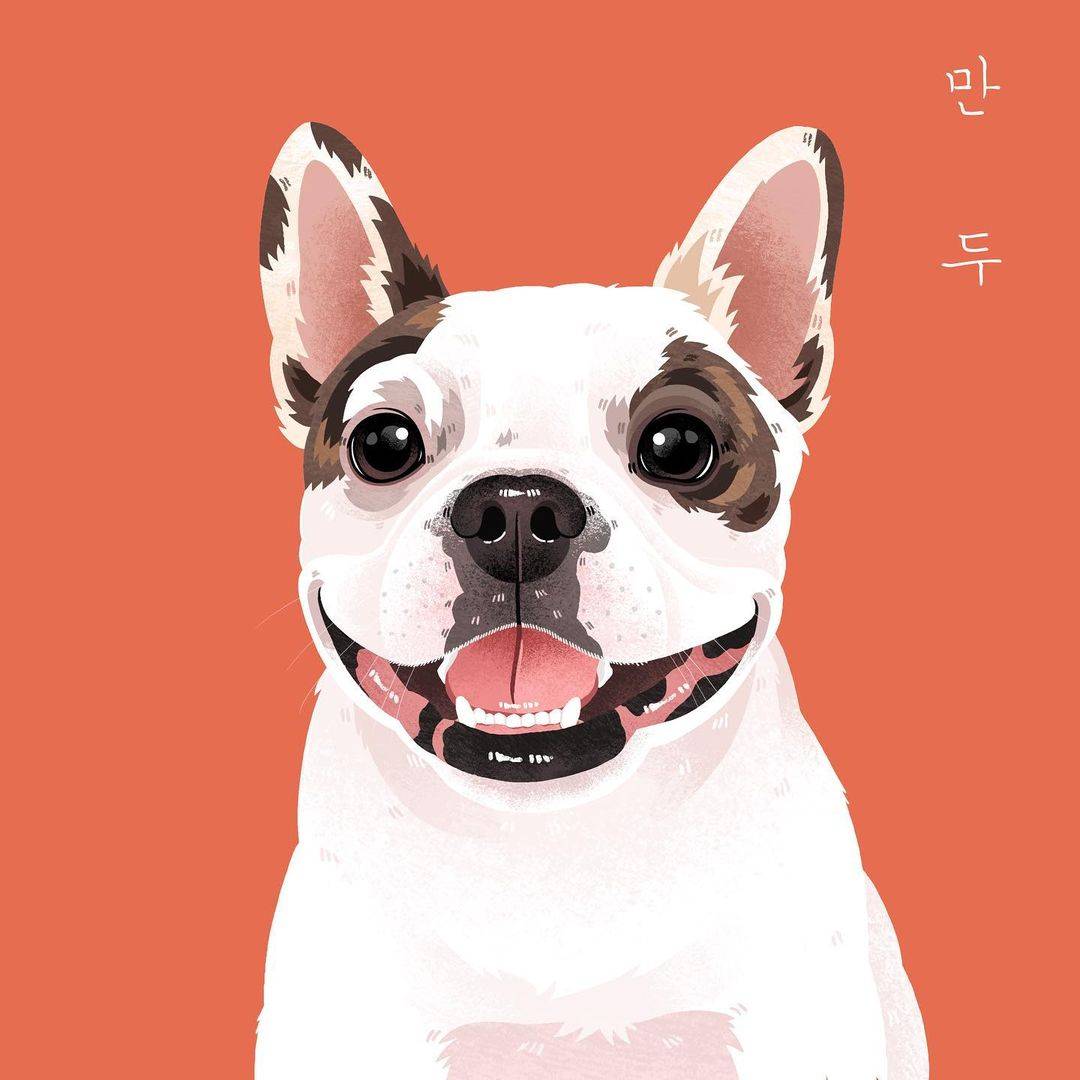 法国斗牛犬高清可爱卡通头像精选图片_1