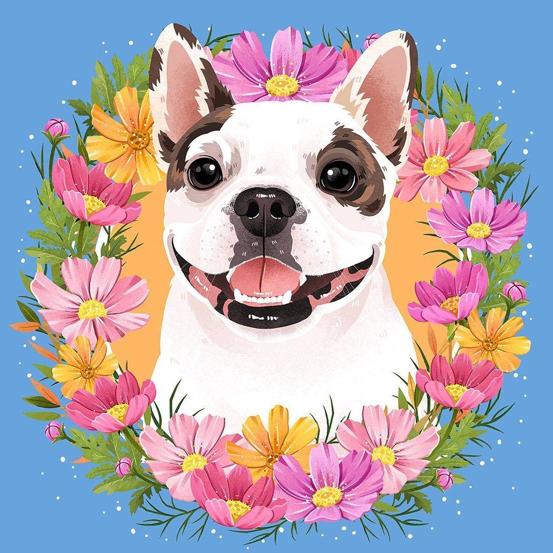 法国斗牛犬高清可爱卡通头像精选图片_8
