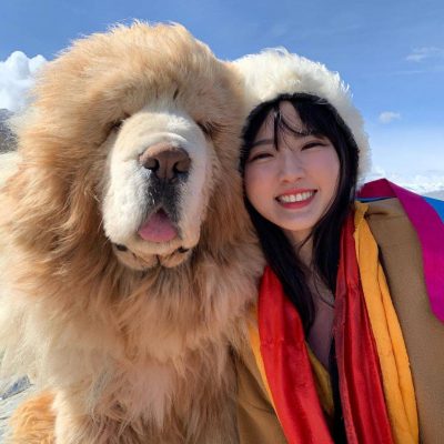藏獒和人合照图片，藏獒和美女合影这么老实！