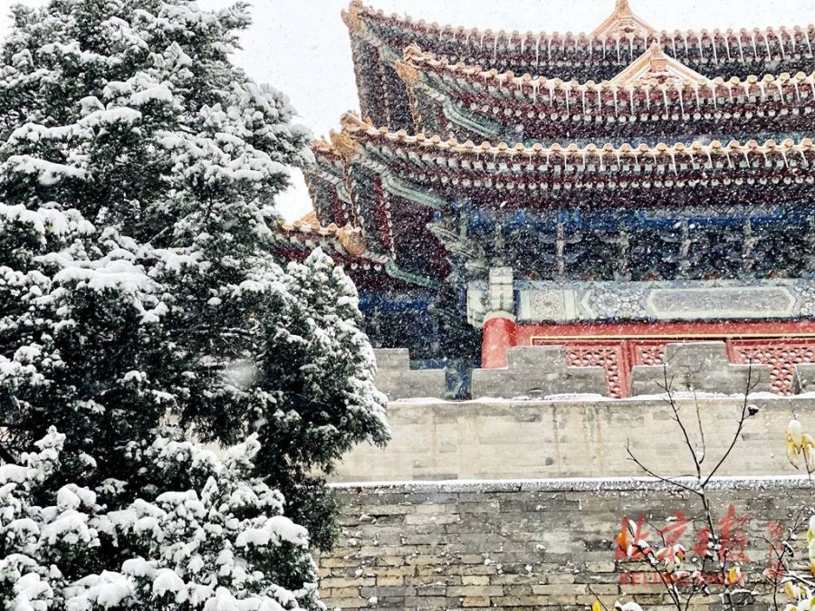 2021北京大学故宫雪景图片 选自北京日报_4