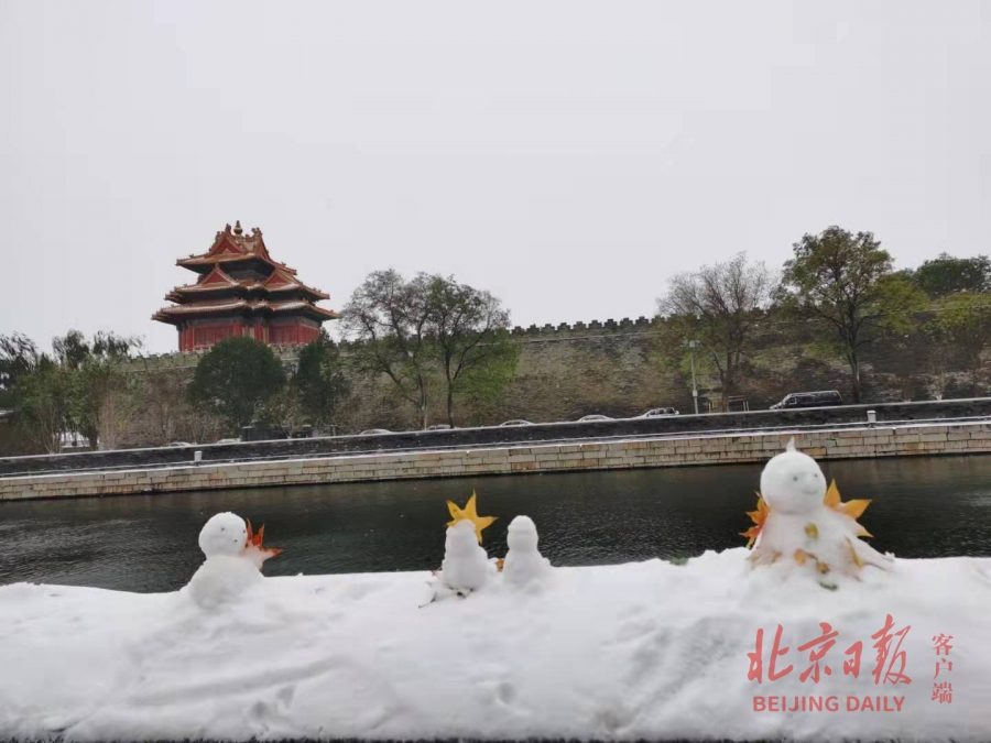 2021北京大学故宫雪景图片 选自北京日报_21