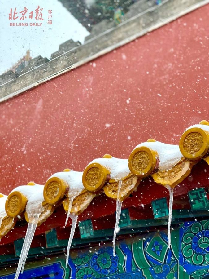 2021北京大学故宫雪景图片 选自北京日报_22