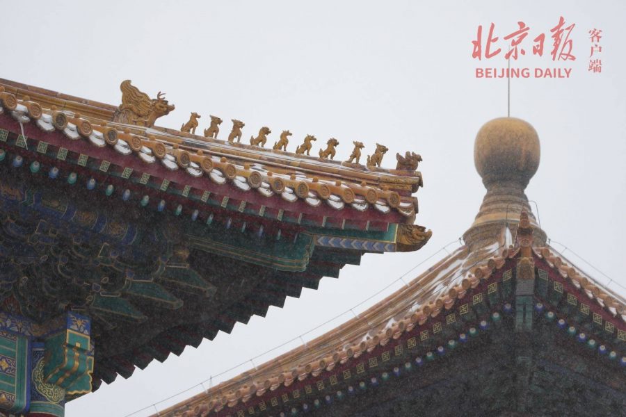2021北京大学故宫雪景图片 选自北京日报_3
