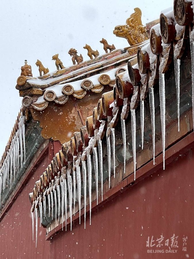 2021北京大学故宫雪景图片 选自北京日报_20