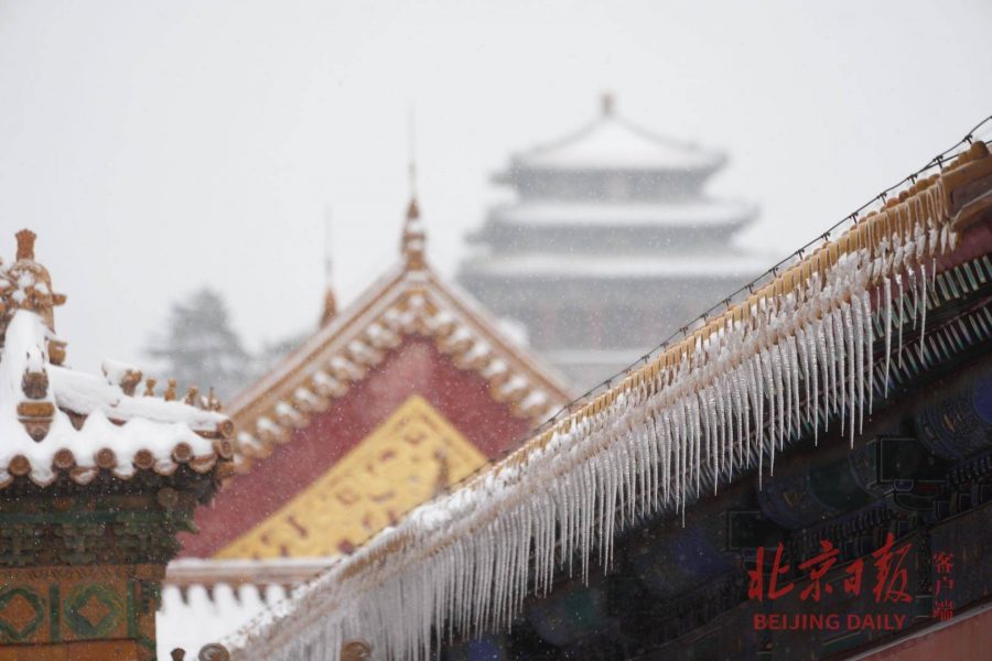 2021北京大学故宫雪景图片 选自北京日报_16