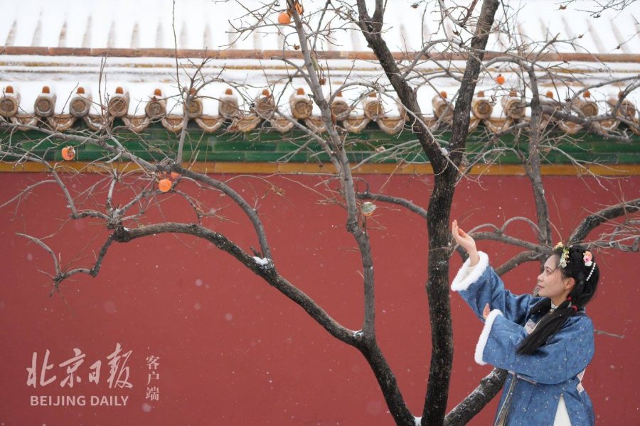 2021北京大学故宫雪景图片 选自北京日报_13