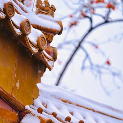 2021北京大学故宫雪景图片 选自北京日报
