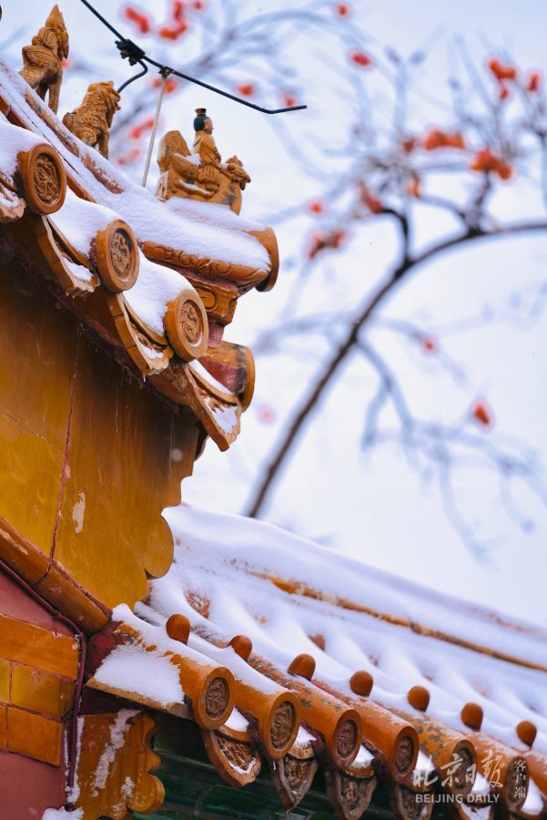 2021北京大学故宫雪景图片 选自北京日报_8