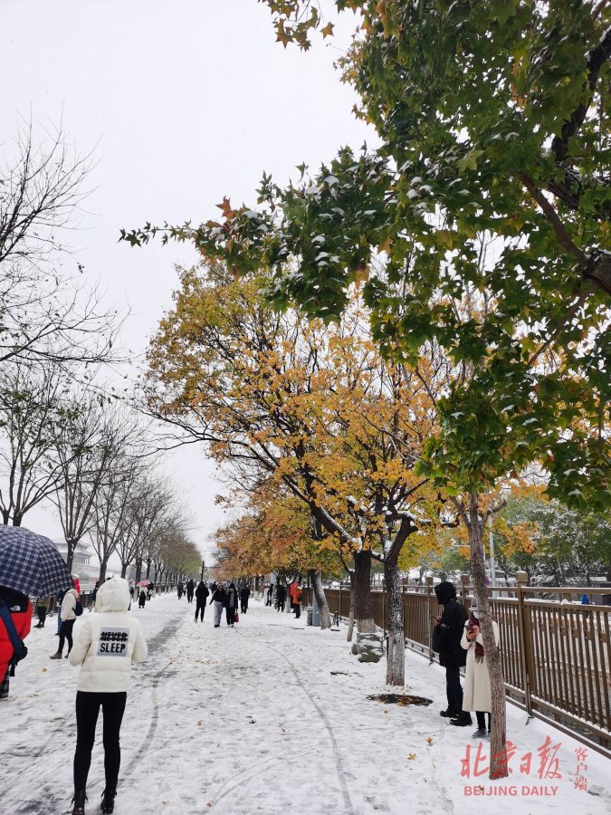 2021北京大学故宫雪景图片 选自北京日报_1