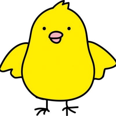 简单的小鸡彩色简笔画图片大全