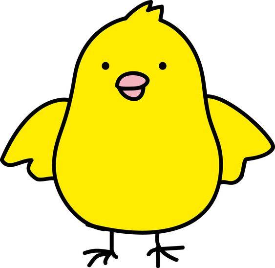 简单的小鸡彩色简笔画图片大全_2