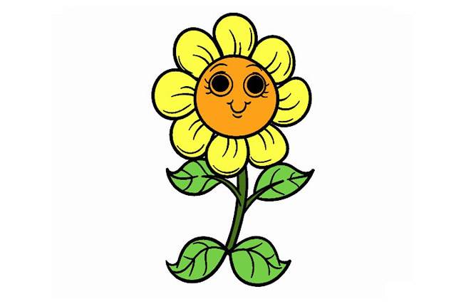彩色太阳花卡通简笔画图片大全_2