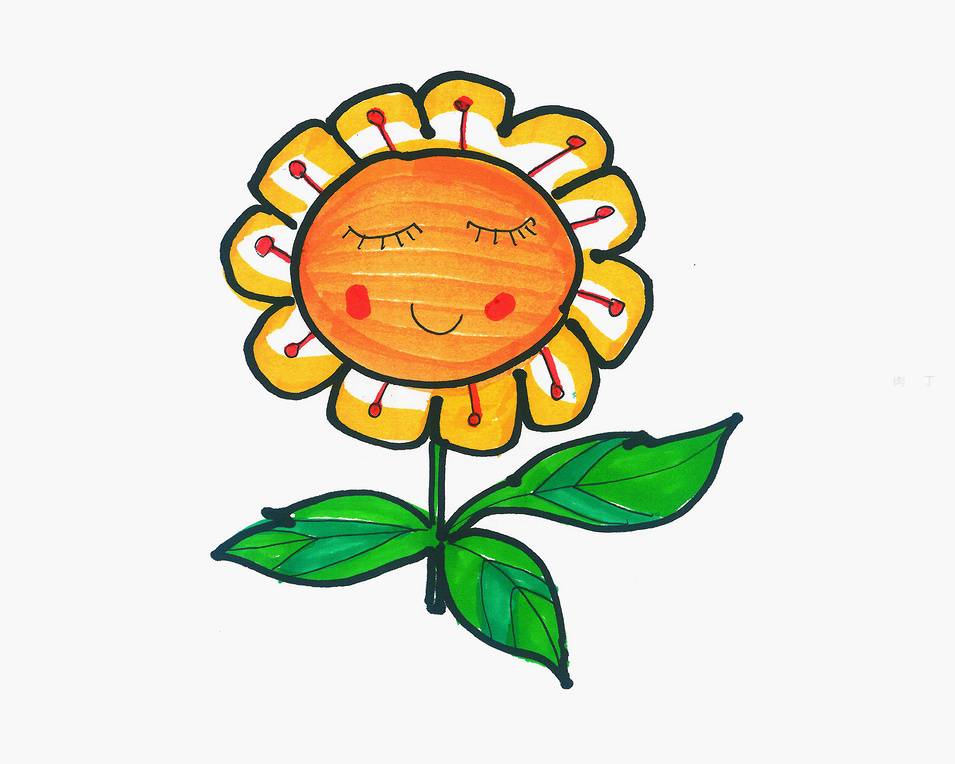 彩色太阳花卡通简笔画图片大全_1
