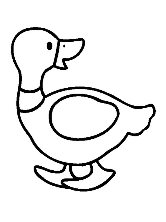 简单小鸭子黑白简笔画图片大全_12
