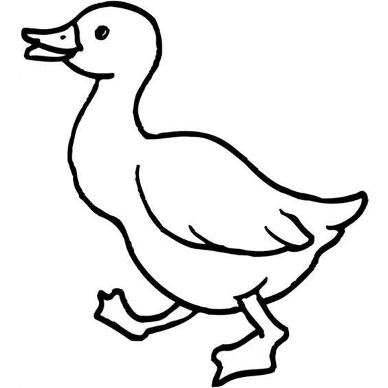 简单小鸭子黑白简笔画图片大全_9