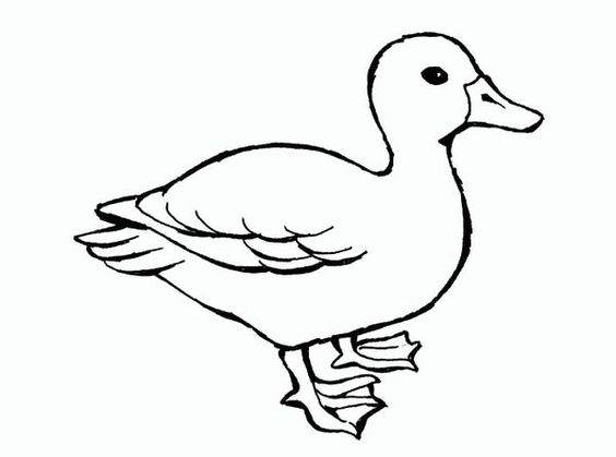 简单小鸭子黑白简笔画图片大全_8