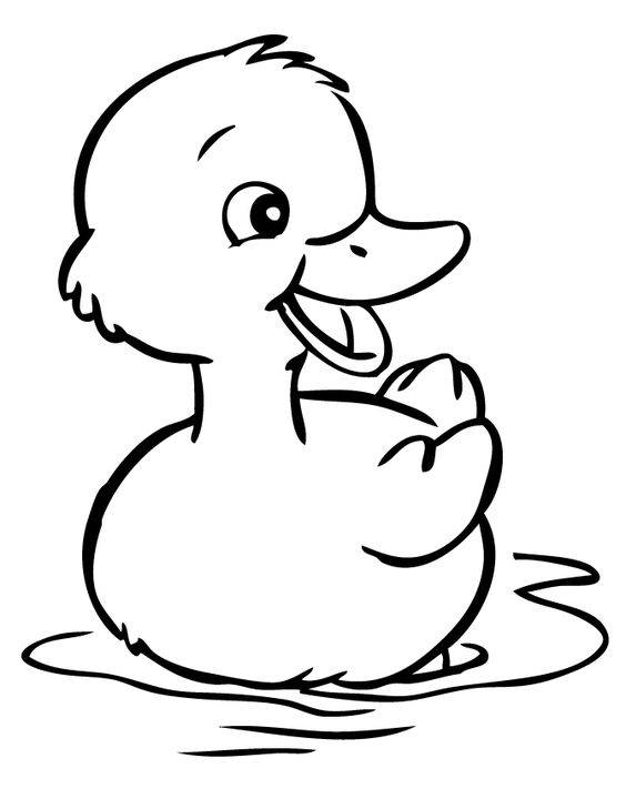 简单小鸭子黑白简笔画图片大全_4