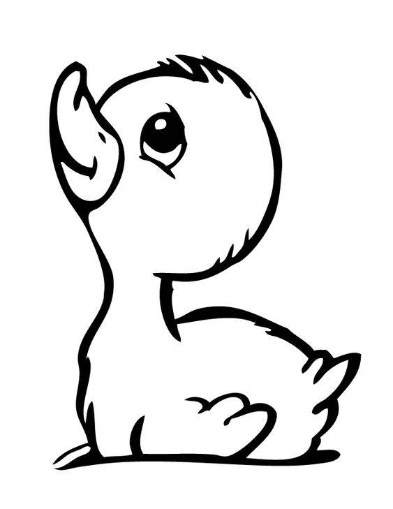 简单小鸭子黑白简笔画图片大全_2