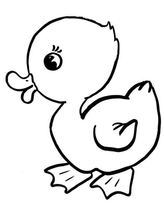 简单小鸭子黑白简笔画图片大全_1
