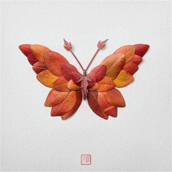 树叶粘贴画做蝴蝶图片大全_6