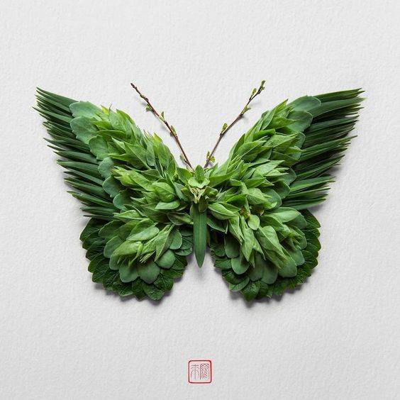 树叶粘贴画做蝴蝶图片大全_5