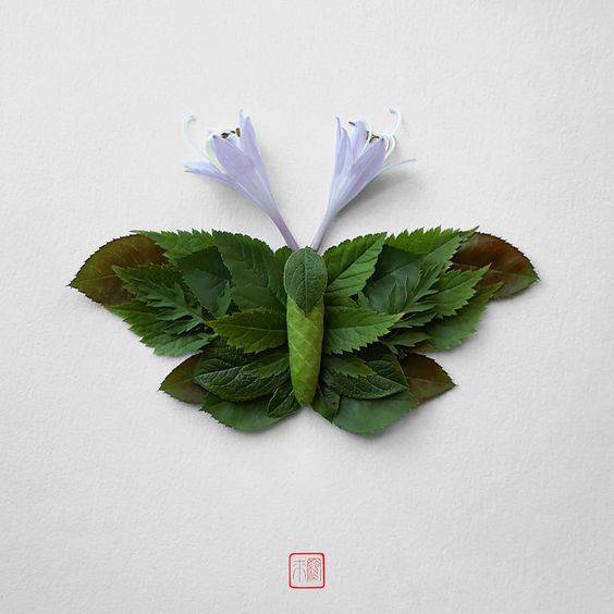 树叶粘贴画做蝴蝶图片大全_2