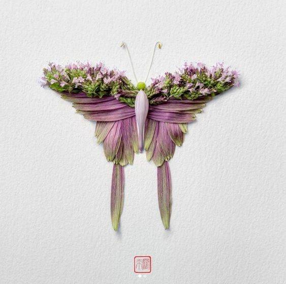 用鲜花瓣做粘贴蝴蝶画图片大全_9