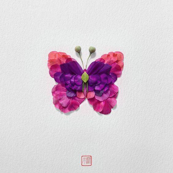 用鲜花瓣做粘贴蝴蝶画图片大全_8