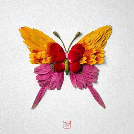 用鲜花瓣做粘贴蝴蝶画图片大全_5
