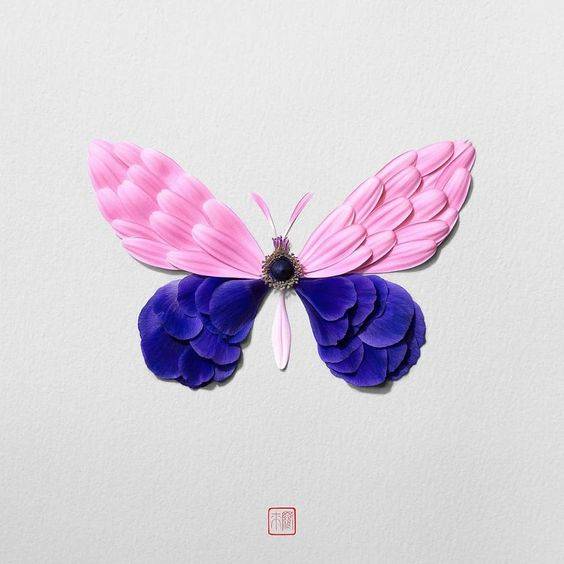 用鲜花瓣做粘贴蝴蝶画图片大全_2