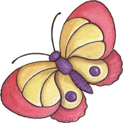 彩色昆虫花蝴蝶简笔画图片大全