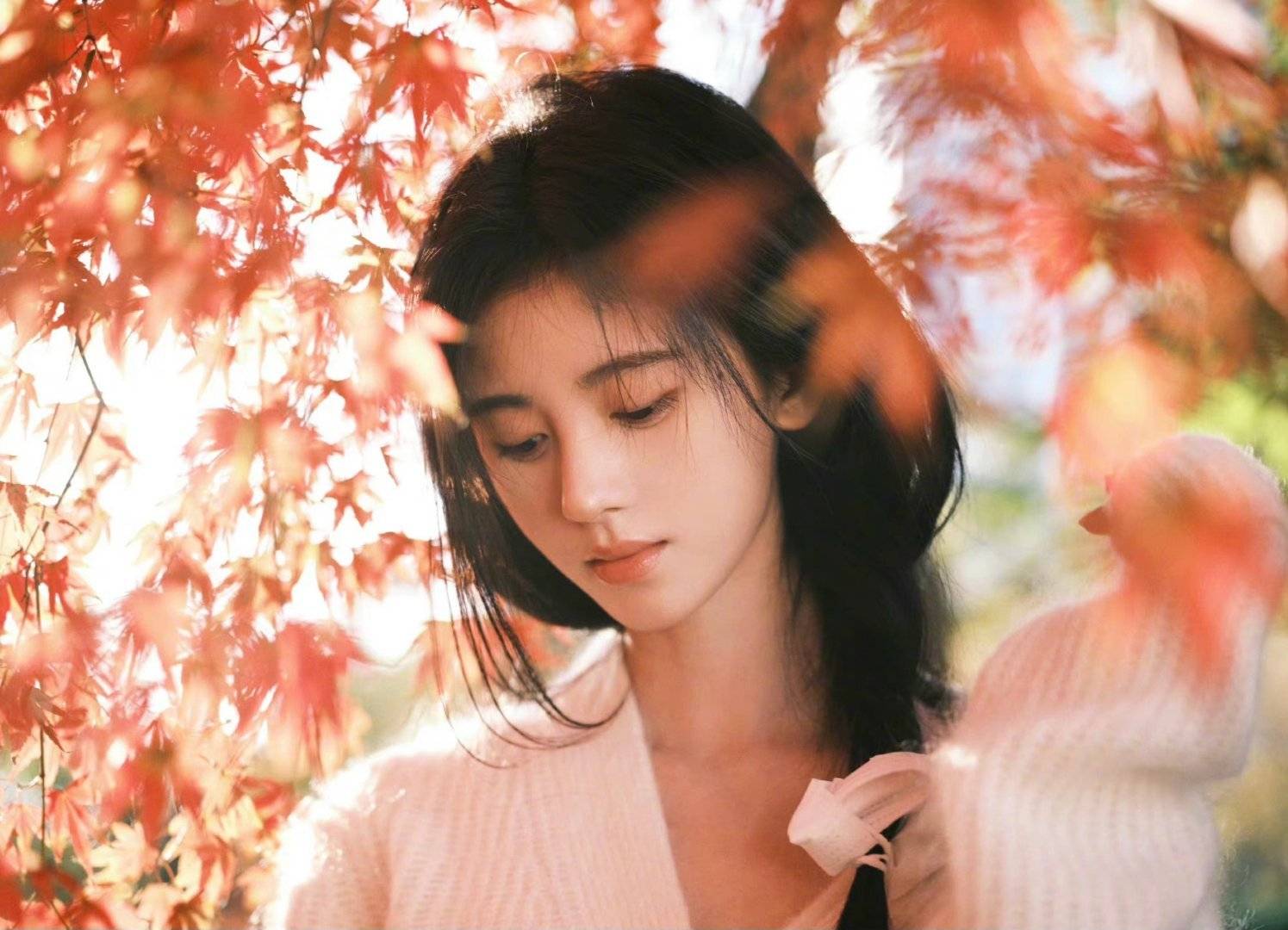 美女鞠婧祎森系枫叶写真无水印图片精选_6