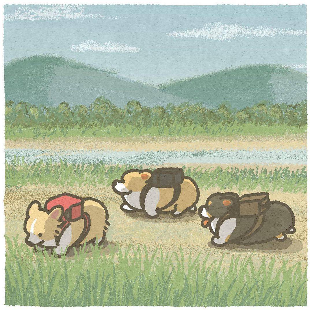 治愈系柯基狗狗彩色简笔画图片大全_14