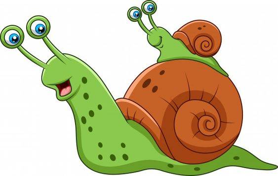 昆虫蜗牛彩色简笔画图片大全_6