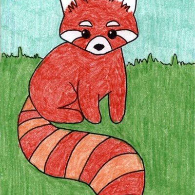 可爱小熊猫浣熊彩色简笔画图片大全