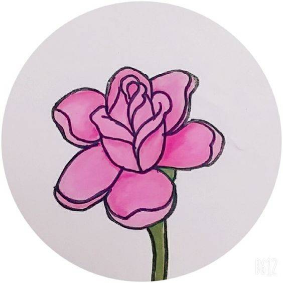 红色玫瑰花简笔画图片大全_12