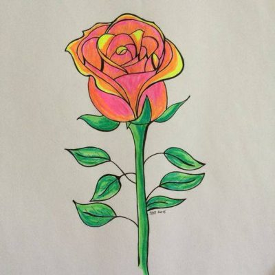 红色玫瑰花简笔画图片大全