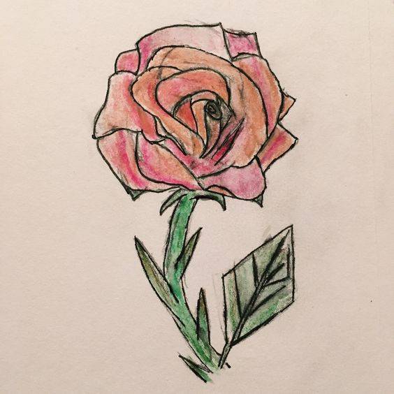 红色玫瑰花简笔画图片大全_3