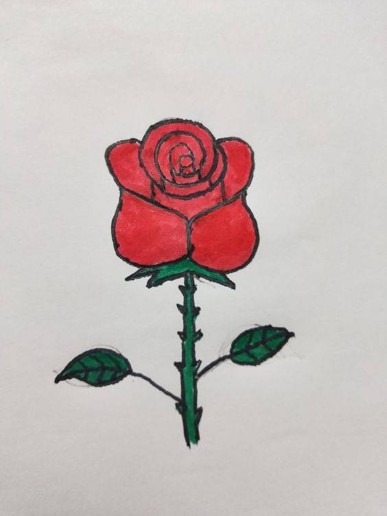 红色玫瑰花简笔画图片大全_2
