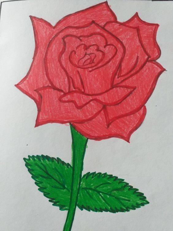 红色玫瑰花简笔画图片大全_1