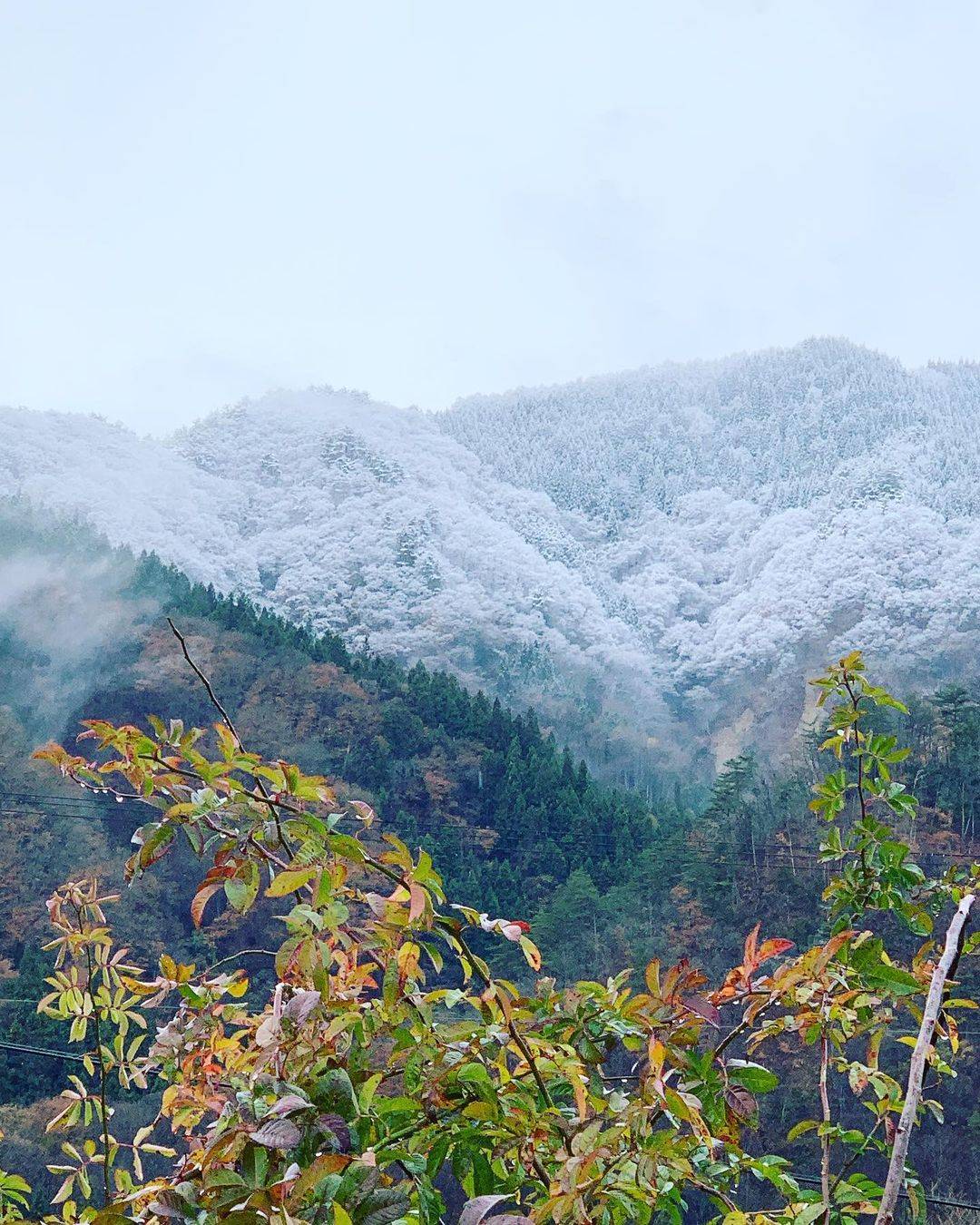 冬天下雪唯美图片， 冬天初雪图片_1