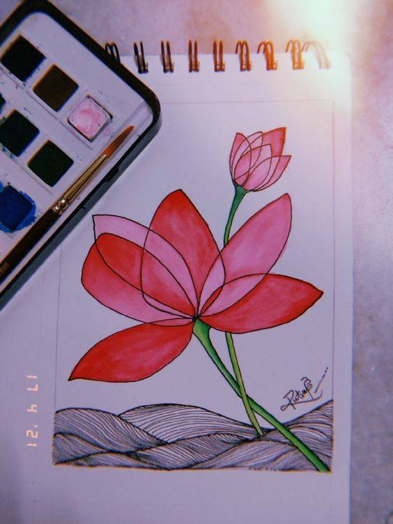 粉色荷花简笔画图片大全_5