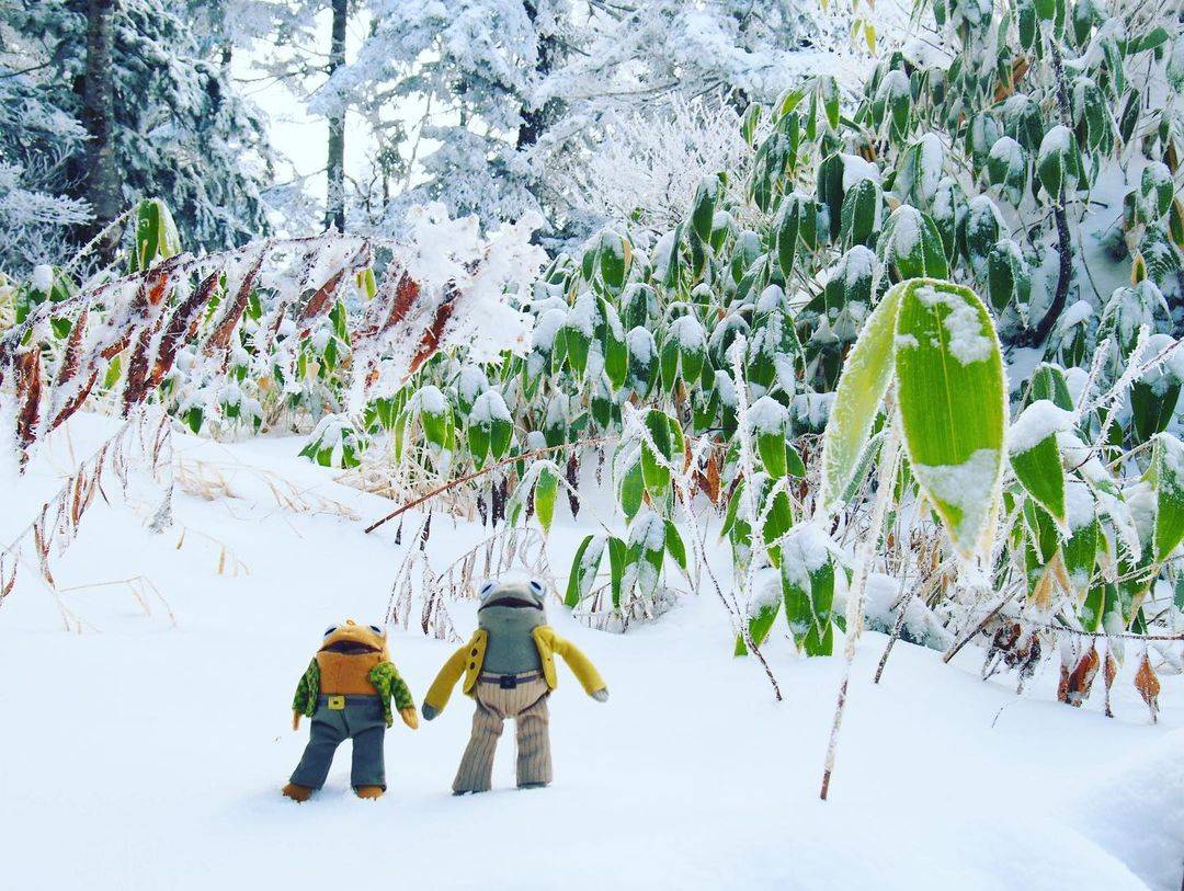 冬天下雪唯美图片， 冬天初雪图片_9