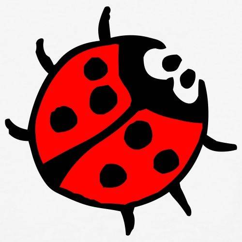 彩色七星瓢虫儿童简笔画图片大全_6