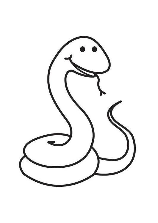 幼儿园画可爱小蛇卡通简笔画图片大全_2