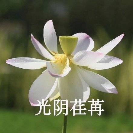 适合家庭群的头像图片精选_9