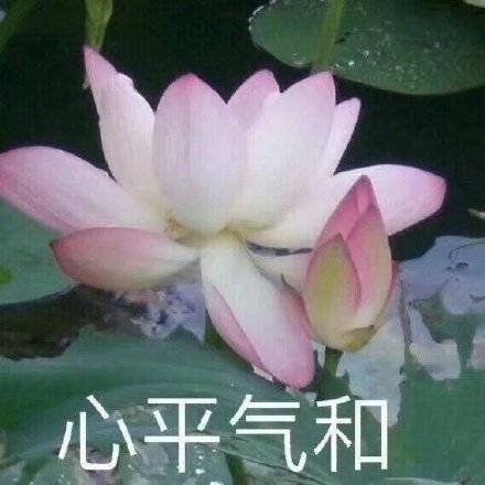 适合家庭群的头像图片精选_10