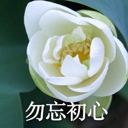 适合家庭群的头像图片精选_3