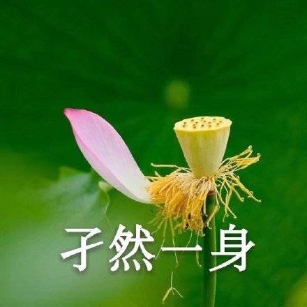 适合家庭群的头像图片精选_11